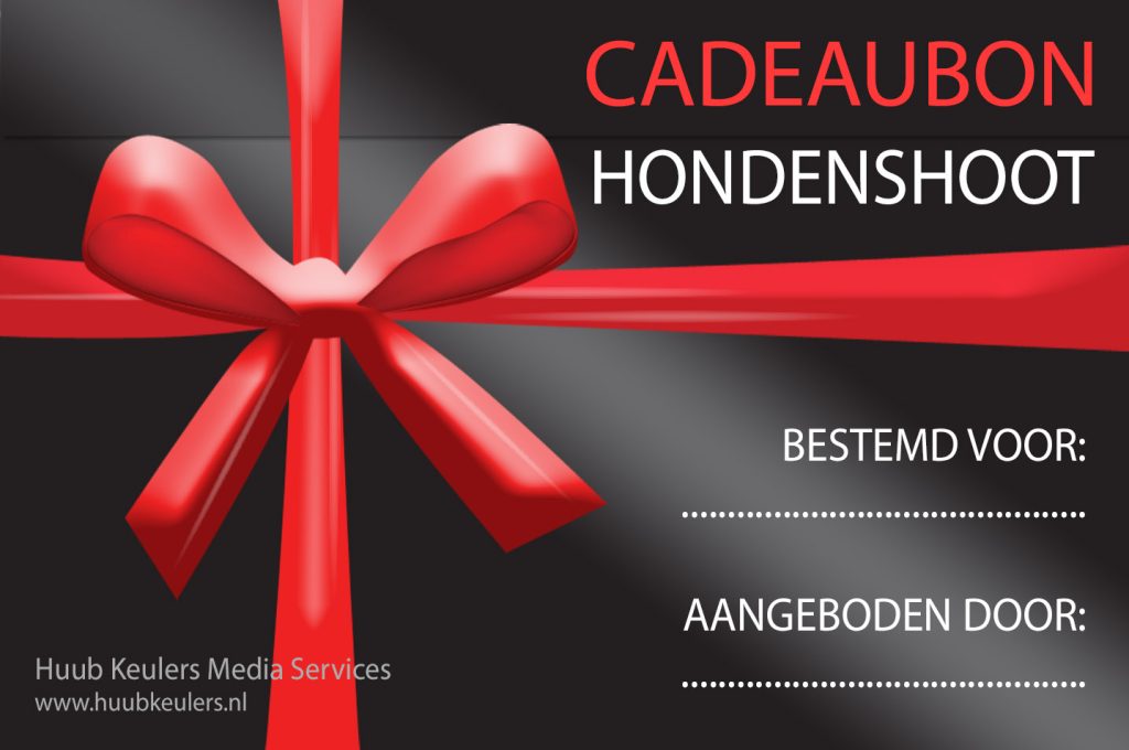 Cadeaubon fotocursus of fotoshoot fotografie